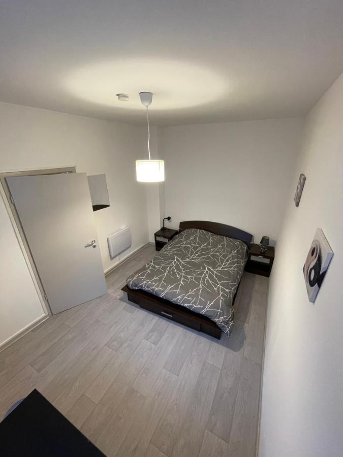 Superbe Appartement Renove Au Centre De Forbach Buitenkant foto
